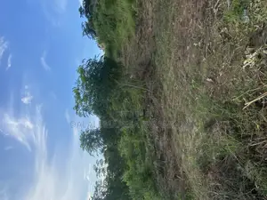 Plot for Sale Mikwambe Kigamboni