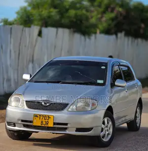 Toyota Allex 2003 Silver
