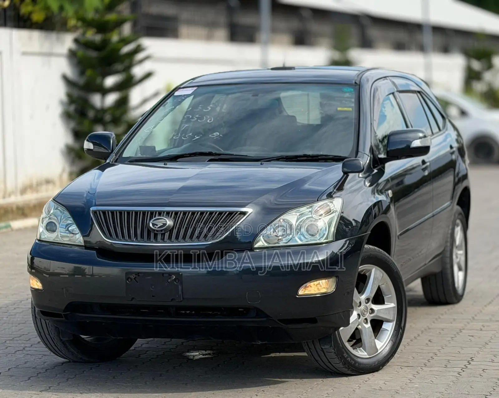 Toyota Harrier 2006 Gray