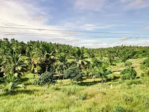 2acre Ina (Mkuranga )Hati Kilwa Road