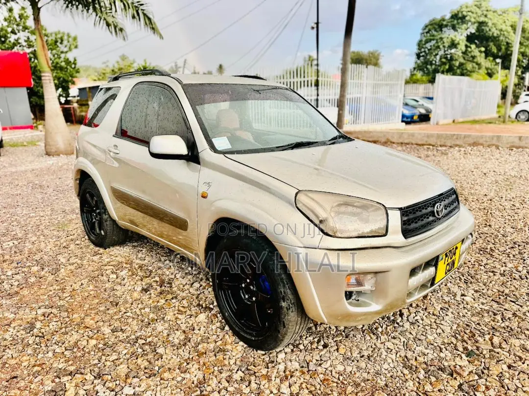 Toyota RAV4 2004 Beige