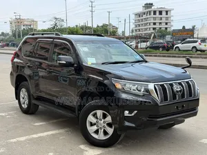 Toyota Land Cruiser Prado 2.8 2020 Purple