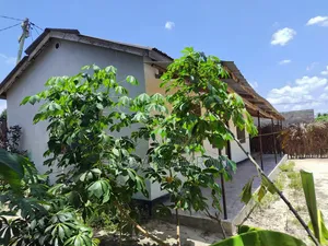 4bdrm House in Kwa Kapungu, Kitunda for sale