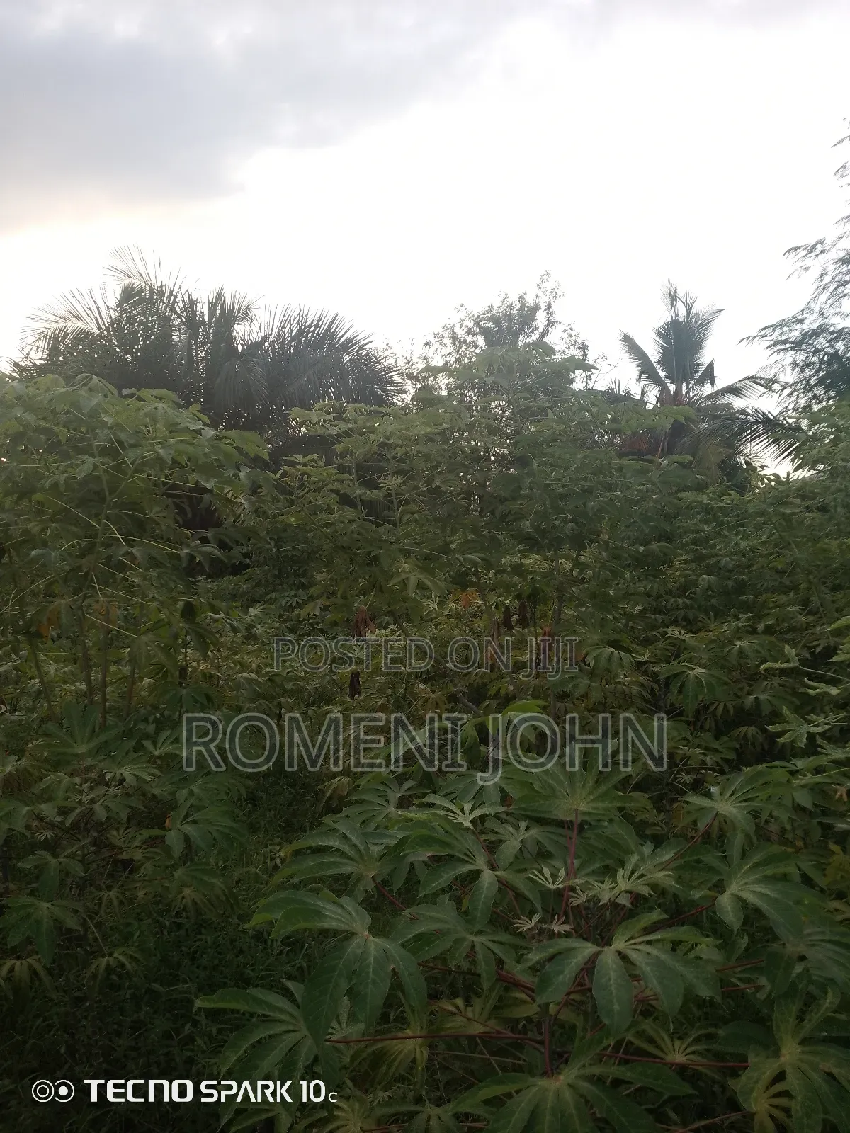Kiwanja Kinauzwa Milioni 4.5 Ukonga Kwa Diwani.