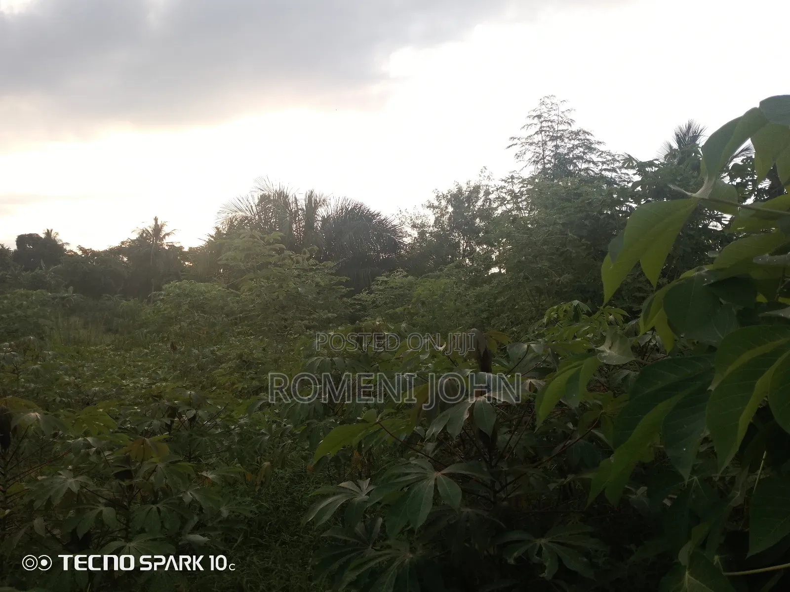 Kiwanja Kinauzwa Milioni 4.5 Ukonga Kwa Diwani.
