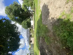 Beach Plot Number One for Sale Kijichi Kigamboni