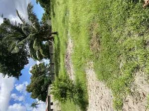 Beach Plot Number One for Sale Kijichi Kigamboni