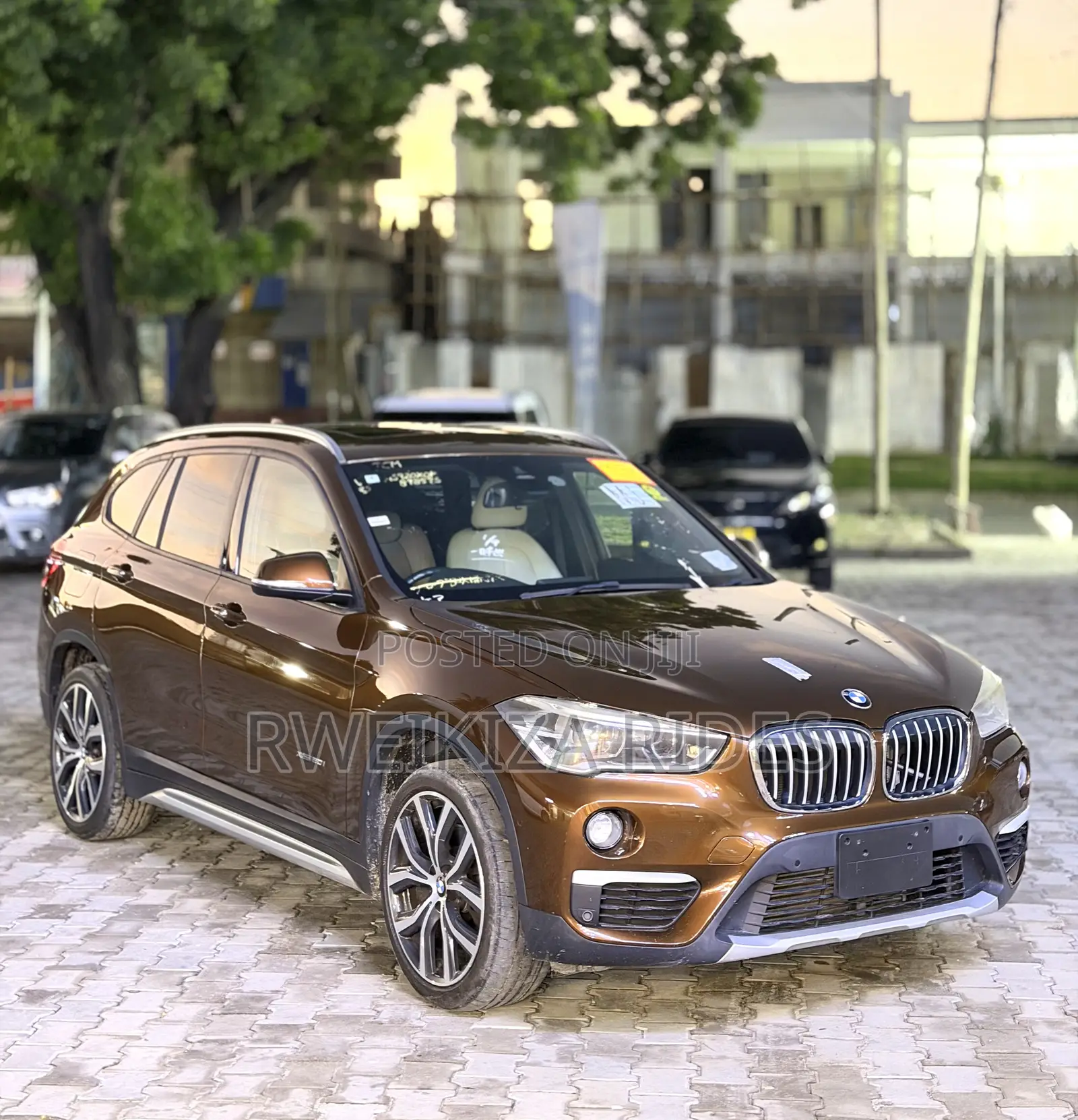 BMW X1 2017 Brown