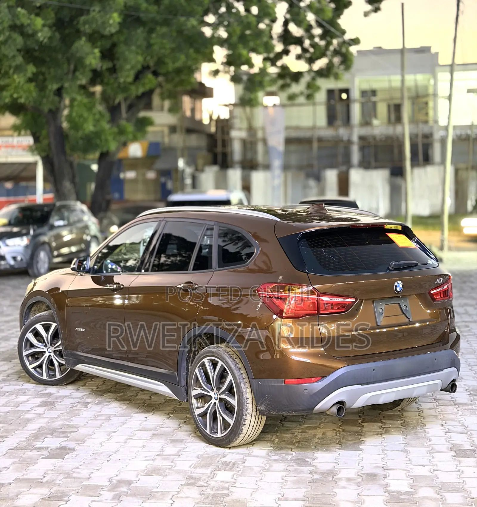 BMW X1 2017 Brown