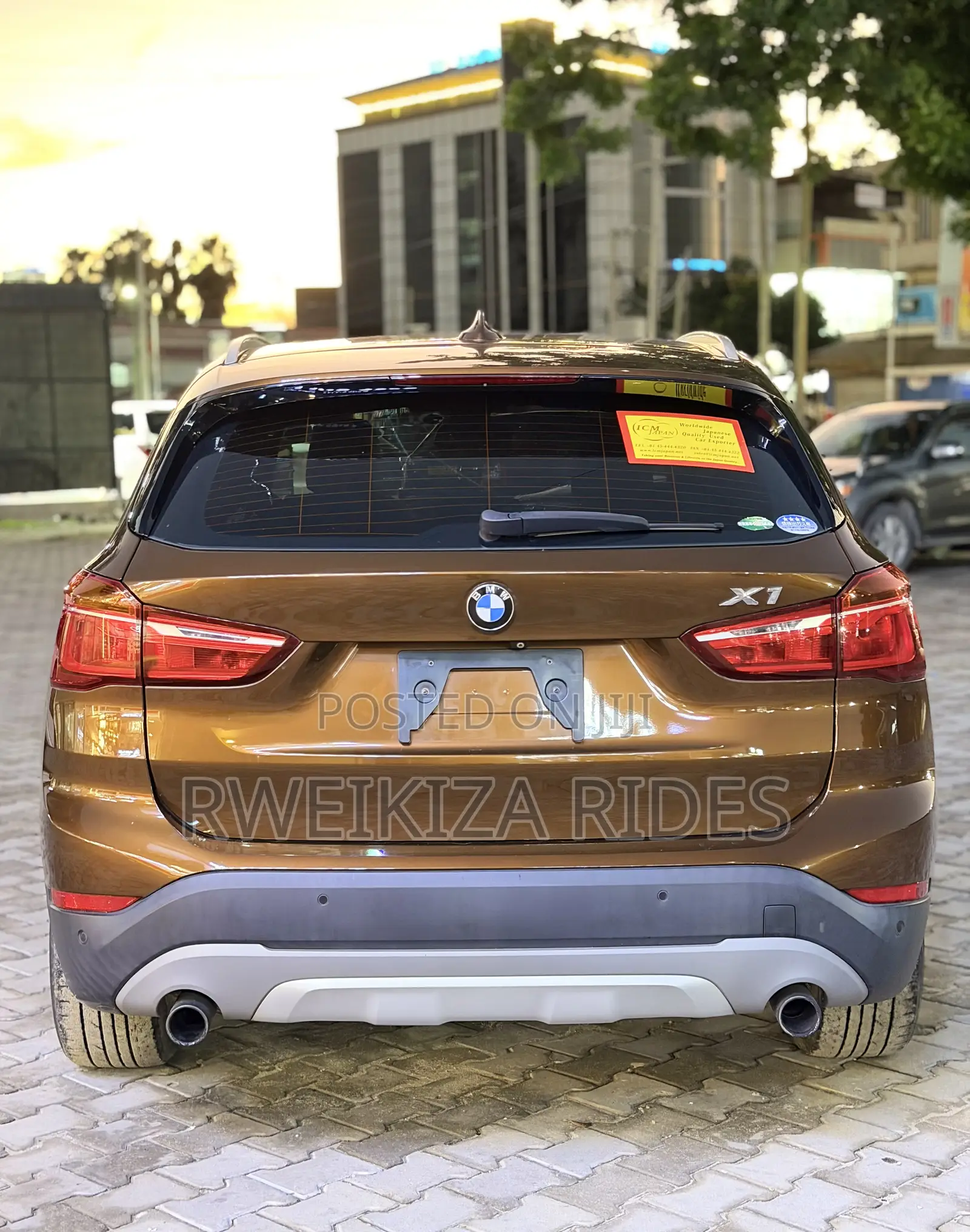 BMW X1 2017 Brown