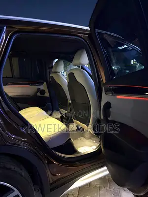 BMW X1 2017 Brown