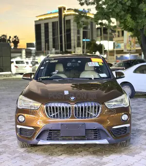 BMW X1 2017 Brown