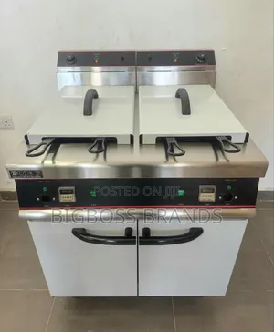 Electric Fryer Lita 60(30x2) [Cormercial]