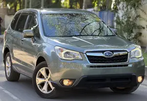 Subaru Forester 2013 Gray
