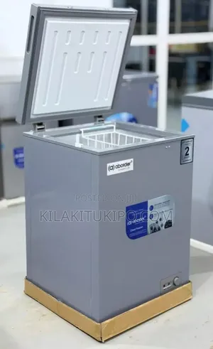 Bd3100 Lita 100 Chest Freezer