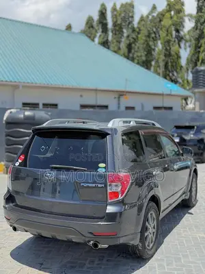 Subaru Forester 2010 Gray