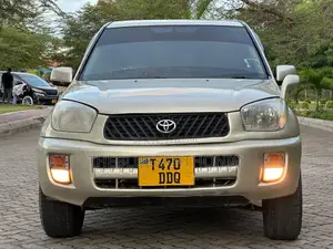 Toyota RAV4 2001 Gold
