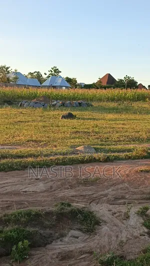 Plot For Sale Mwanza