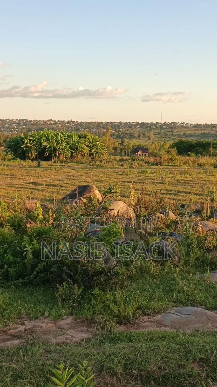 Plot for Sale Mwanza