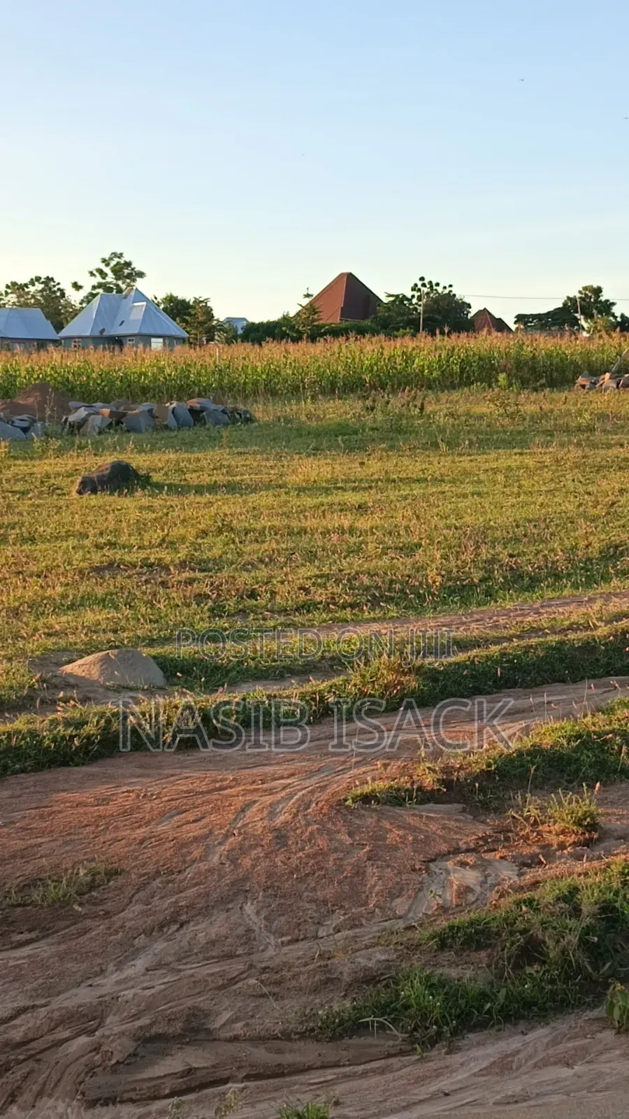 Plot for Sale Mwanza