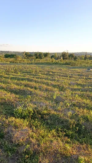 Plot for Sale Mwanza