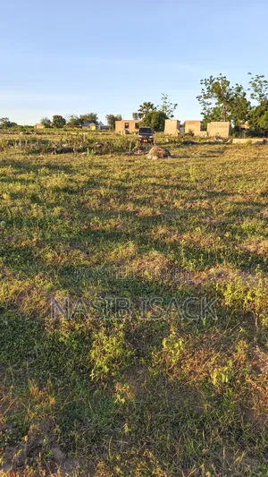 Plot for Sale Mwanza