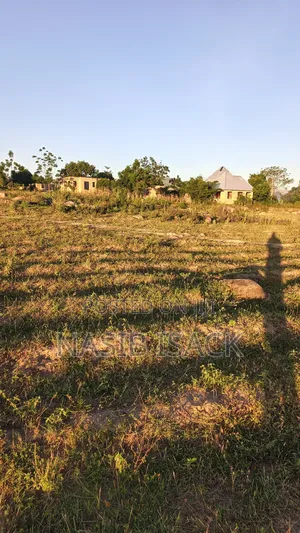 Kiwanja Kinauzwa Mwanza