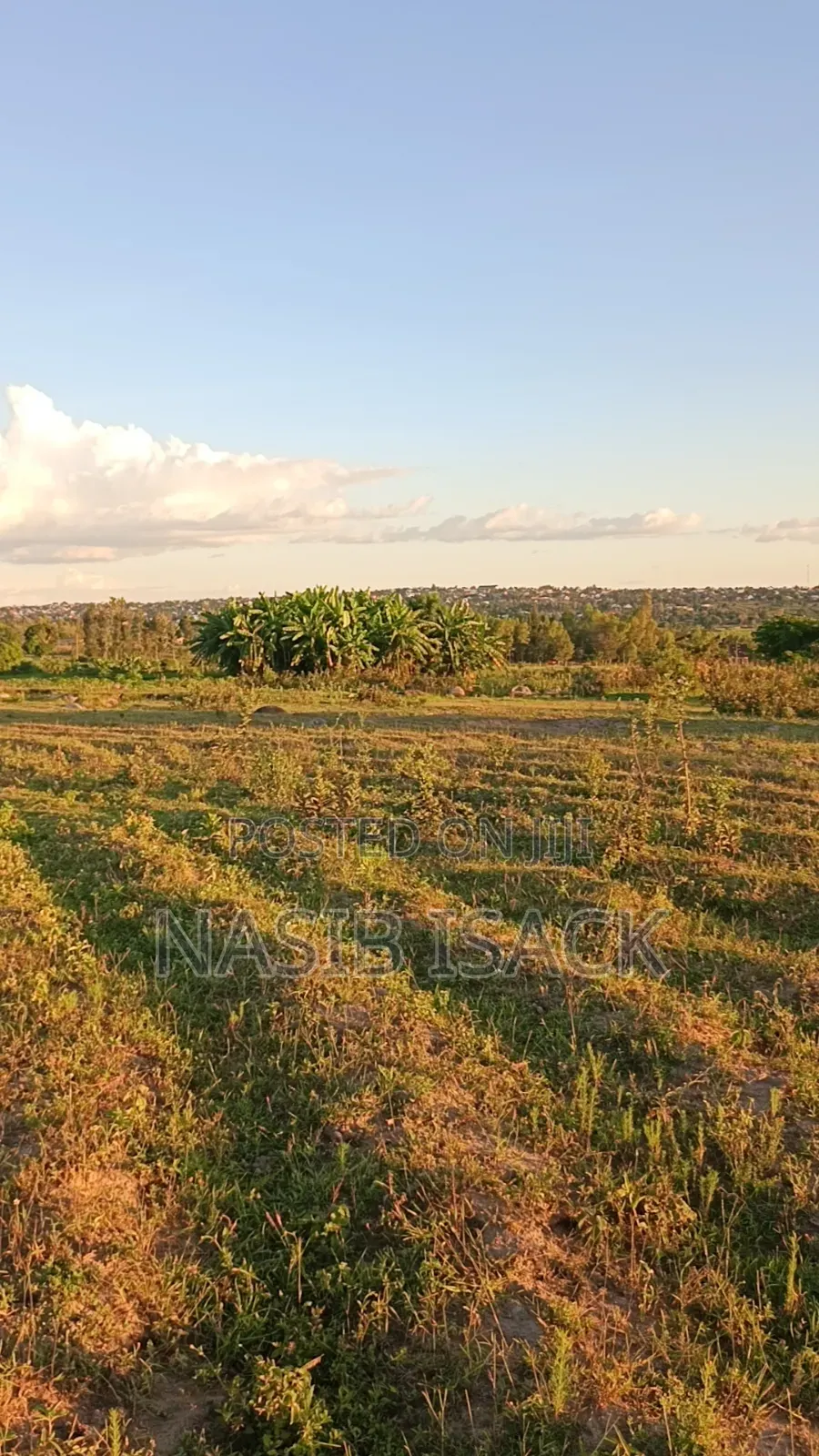Kiwanja Kinauzwa Mwanza