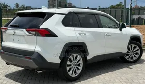 Toyota RAV4 2019 Pearl