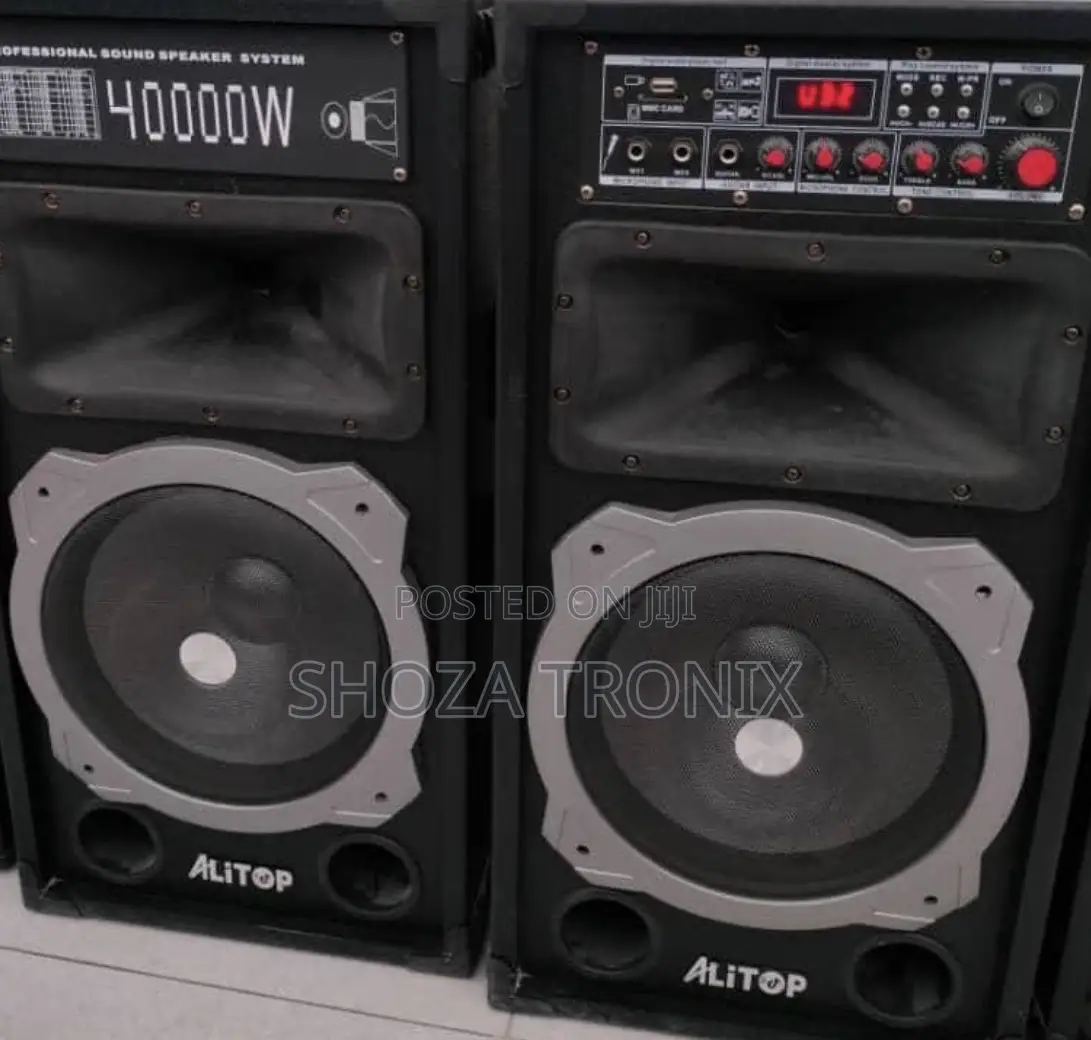 Alitop Proffesional Speaker