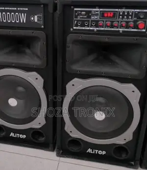 Alitop Proffesional Speaker