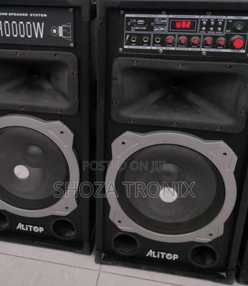 Alitop Proffesional Speaker
