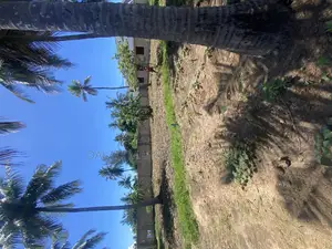 Plot for Sale Mji Mwema Kigamboni
