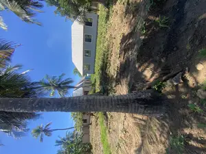 Plot for Sale Mji Mwema Kigamboni