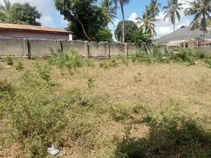 Plot Areq SQM 1000 for Sale at Bunju B