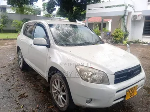 Toyota RAV4 Limited 2008 White
