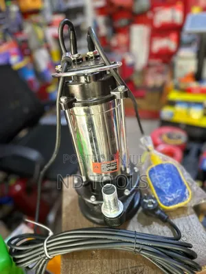Clean Water Pump 2hp – Stainless Steel Wanch