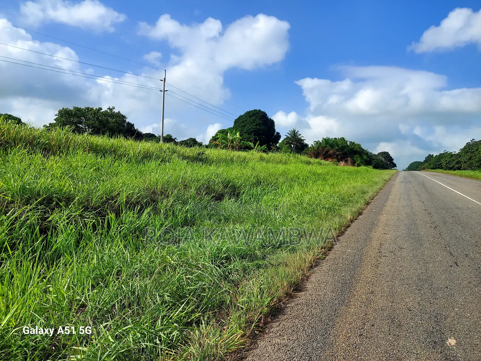 Shamba Linauzwa