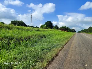Shamba Linauzwa