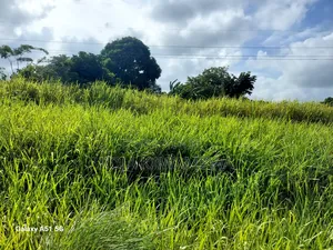 Shamba Linauzwa