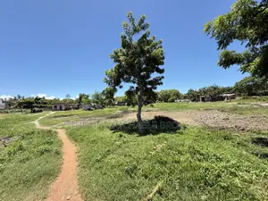 A Beach Plot for Sale