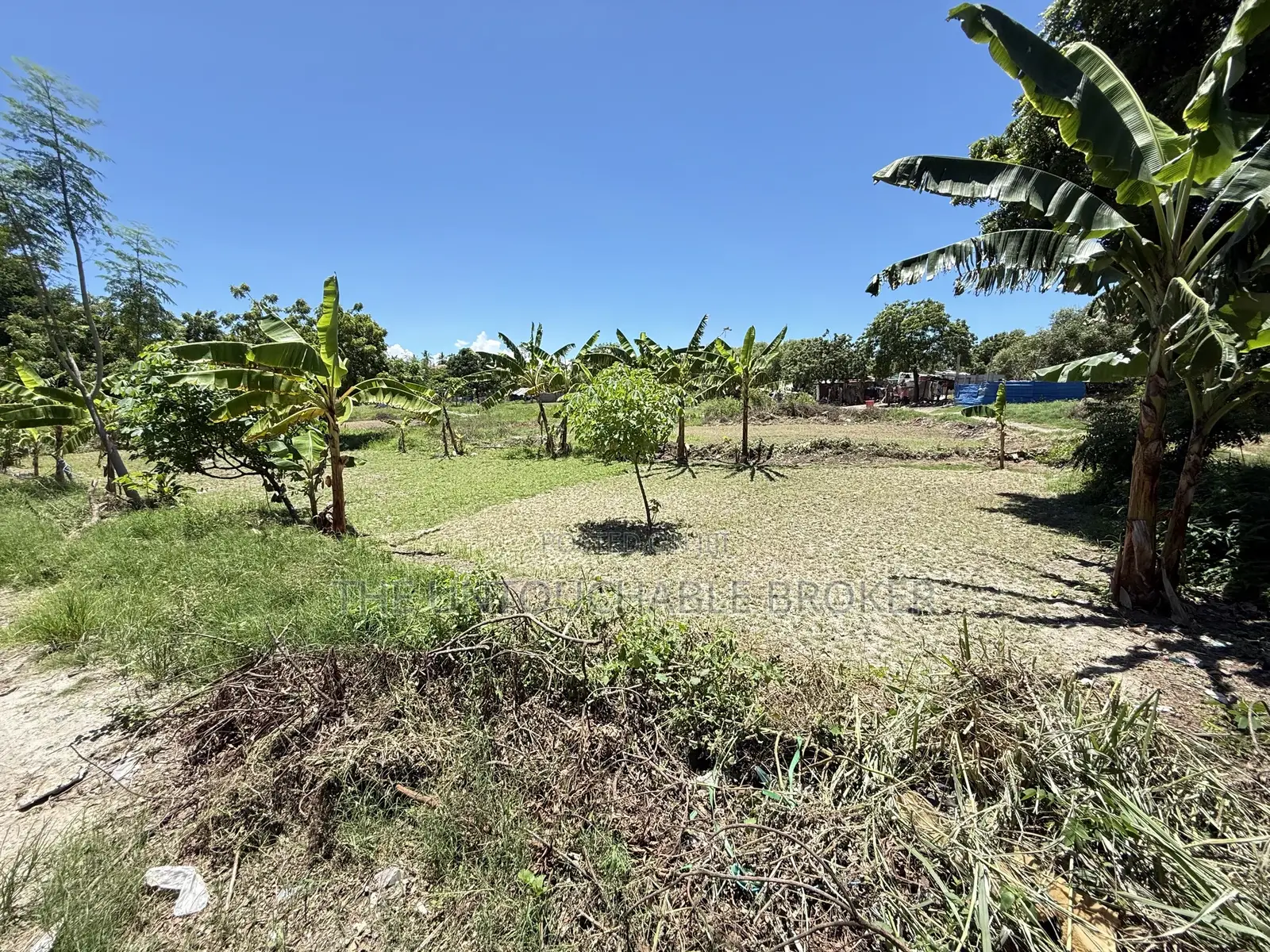 A Beach Plot for Sale