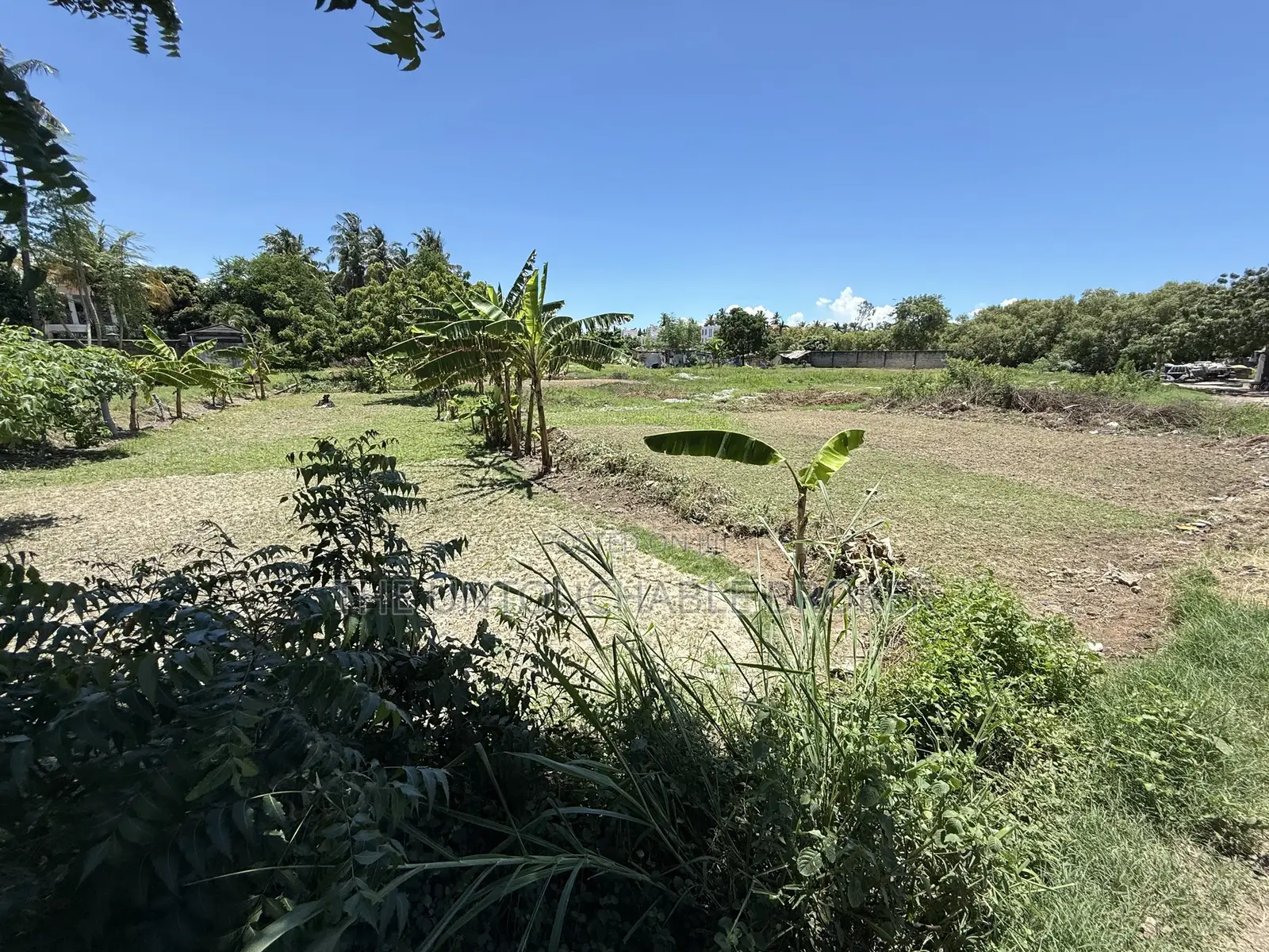 A Beach Plot for Sale