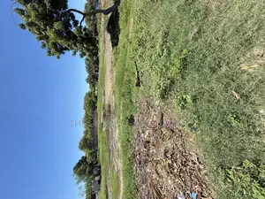 A Beach Plot for Sale