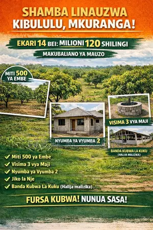 Shamba Linauzwa Mkuranga