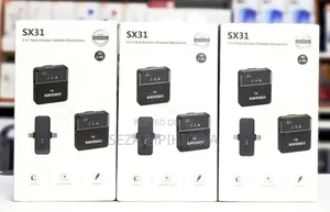 *3 in 1 Microphone