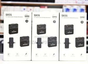 *3 in 1 Microphone