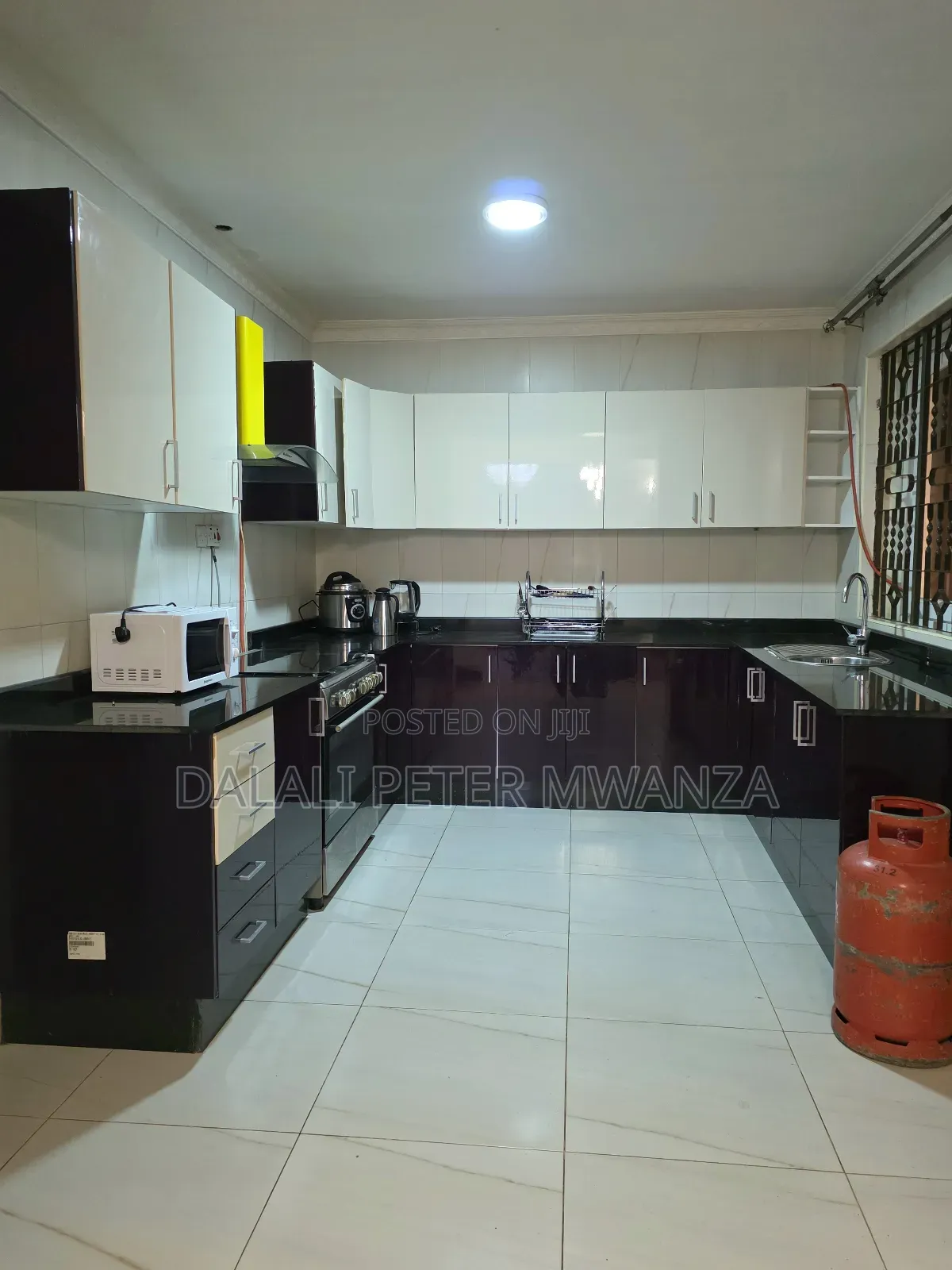 4bdrm Apartment in Isamelo, Ilemela Ward for rent