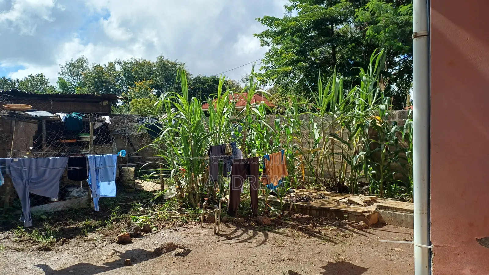 3bdrm House in Andrews Real Estate, Njiro for sale