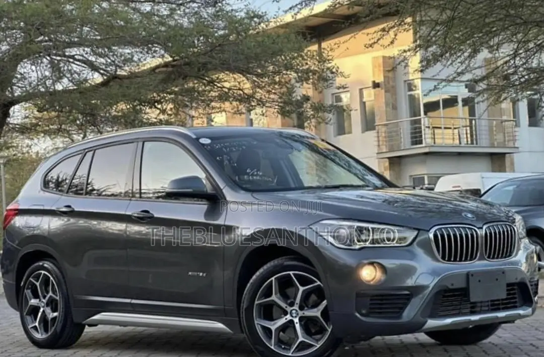 BMW X1 2018 Gray